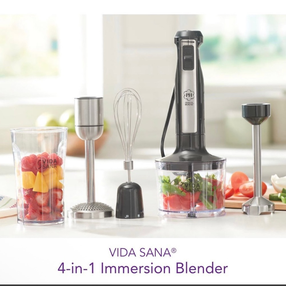 Princess House Silver and Black 4-in-1 Immersion Blender